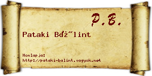 Pataki Bálint névjegykártya