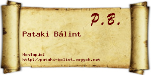 Pataki Bálint névjegykártya